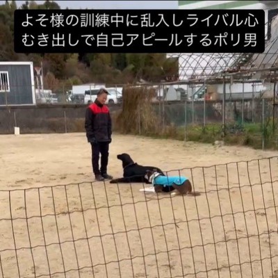訓練中に乱入するポリくん2