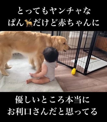 赤ちゃんに優しいぱん君8