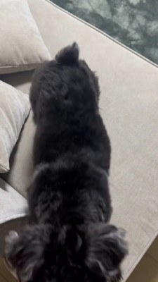 「うちに来てくれてありがとう」