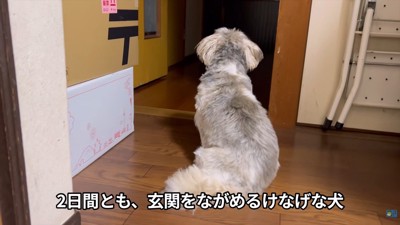 お父さんの帰りを待つてんぽさん