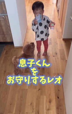 起きてからも全力警護です