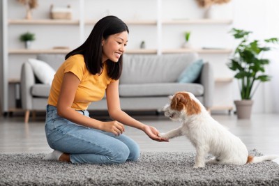 女性と白い犬