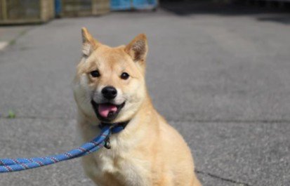 舌先の欠損も…