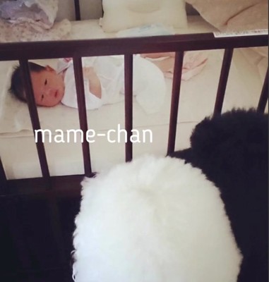 生まれたときから一緒