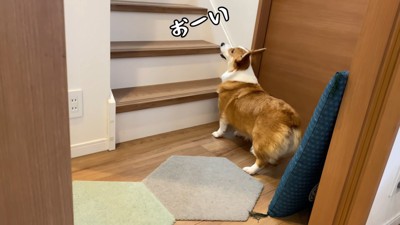 「お兄ちゃん、そろそろ時間だよ~!」
