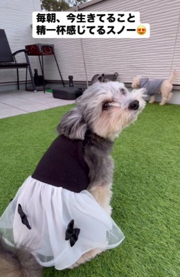 これからも幸せに…