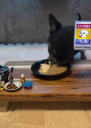 おしゃれな空間で離乳食
