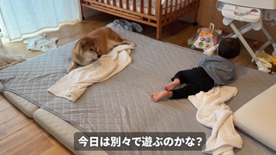むぎちゃんは見守り役