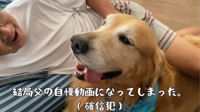 気持ちよさそうな犬