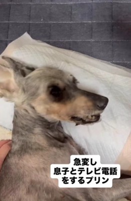 亡くなる前日…