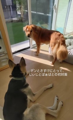 仲良くなれるかな…?