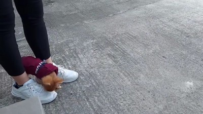 お散歩デビュー