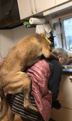 おんぶしてもらうウルルちゃん&シオンちゃん⑩