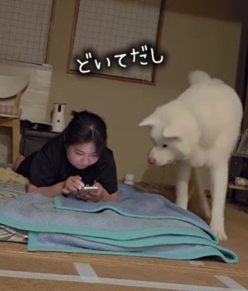 寝床を取られたラウールちゃん