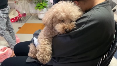 寝る前のいちごちゃん2