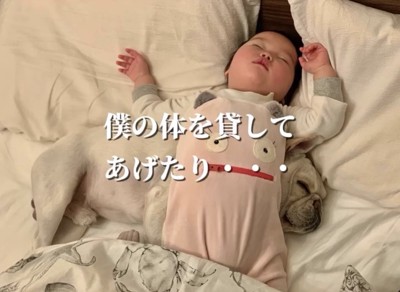 赤ちゃんの下で眠る犬