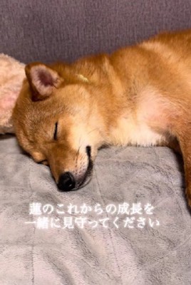 幸せになってね