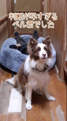 あっという間にドッキリ終了