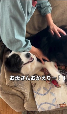 マリちゃんの熱烈歓迎⑩