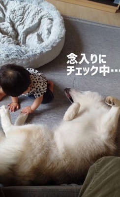 じっと見つめていたのは…
