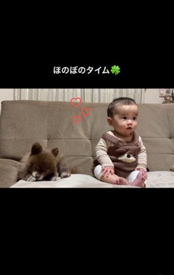 あんこちゃんと赤ちゃん7