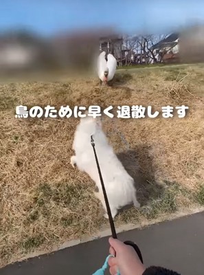 遠ざかる