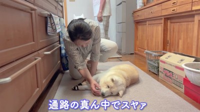 幸せそうな姿が愛おしい