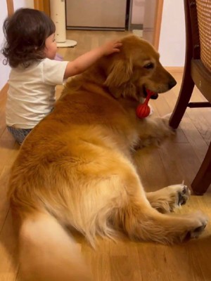 くるりと逆向きに！