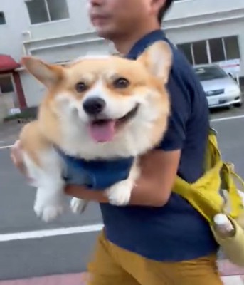 うれしそうな犬2