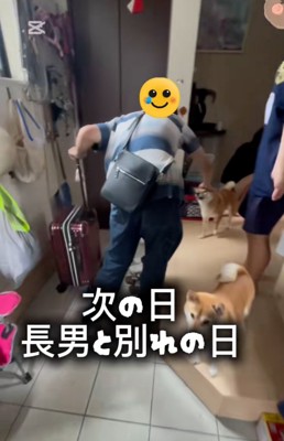 わんこの頭を撫でるお兄ちゃん