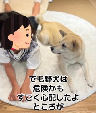 成長したすいちゃんと娘さん