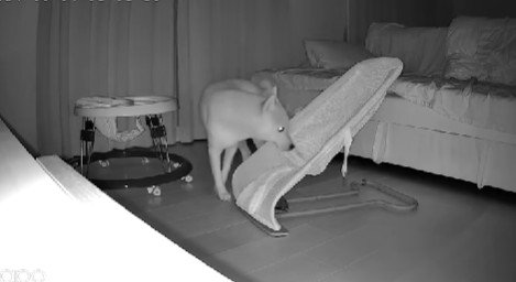 「いや、やっぱりもう1回」