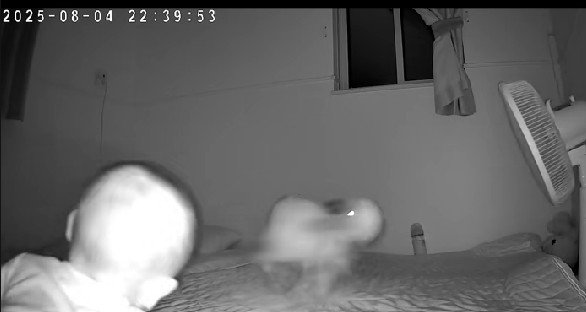 赤ちゃんも興味津々