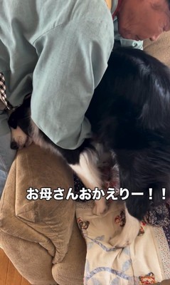 マリちゃんの熱烈歓迎9