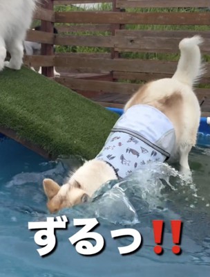 顔面からバシャァァ