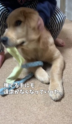すっかり愛犬家に♡