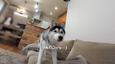 改めて登場したら…