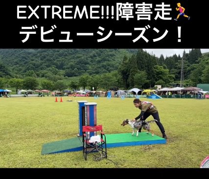 スタートにつくみかづきちゃん