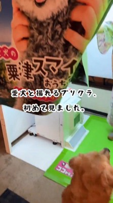 ホテルに設置されているプリクラ機
