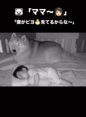 「僕たちがいるから大丈夫だよ！」