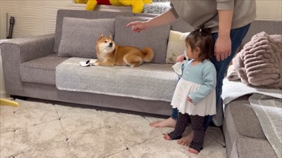 「うにはいい子だったよね？」