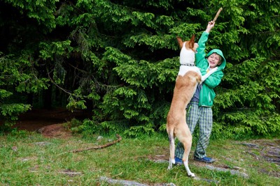 犬が人に飛びかかるイラスト