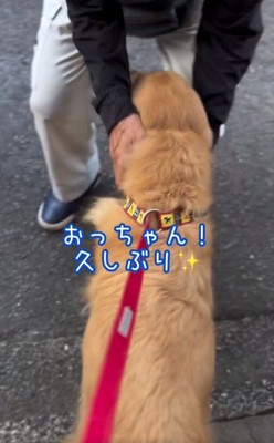 おっちゃんと再会するゆずくん