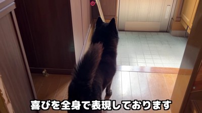 お姉ちゃんが帰ってきた!