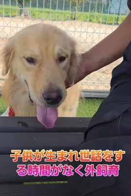 蹴られても我慢していた