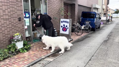 大きいだけじゃなく賢いのね…！