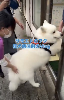 お尻を押されてしまうフクくん