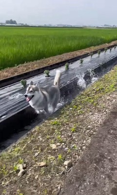 ムウくんの成長7