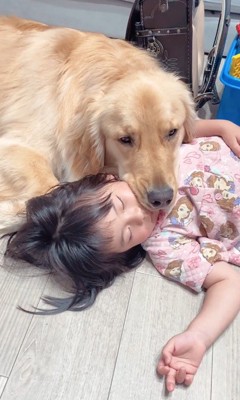 LUKE くんと末っ子ちゃんの成長記録9