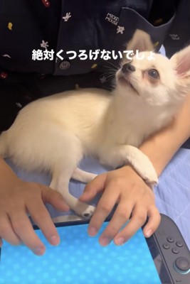 「どしたん？」